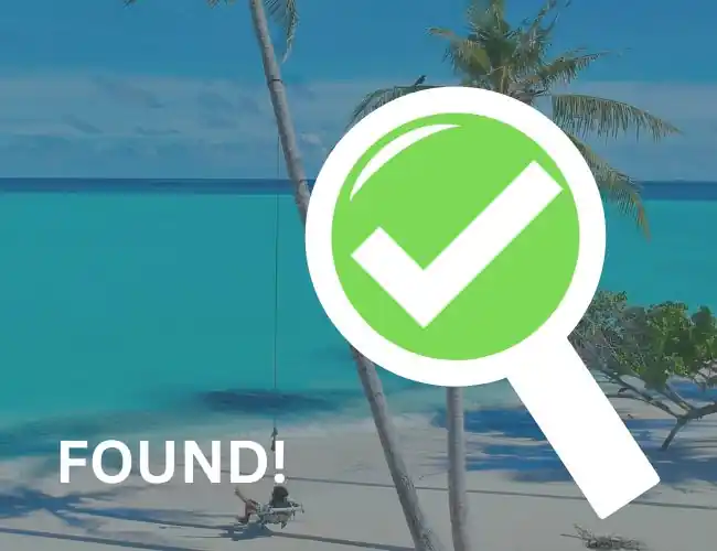 Unleashing the Power of Local Expertise: Elevate Your Caribbean Business with Web Design Made Just for You!