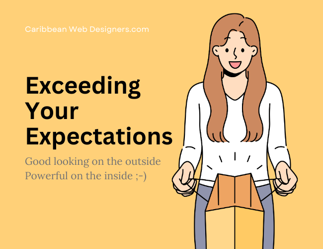 website designer Trinidad and Tobago - caribbeanwebdesigners.com 2