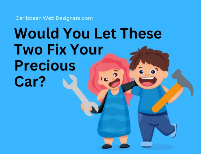 DIY vs Professional Website Design Services - Caribbeanwebdesigners.com