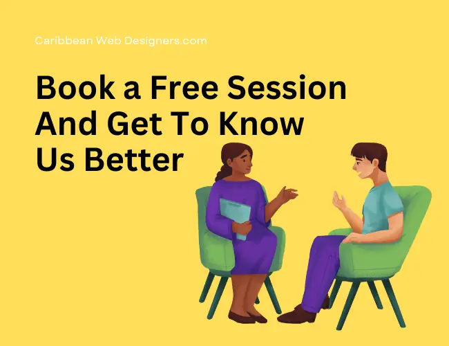 DIY vs Professional Website Design Services - Caribbeanwebdesigners.com