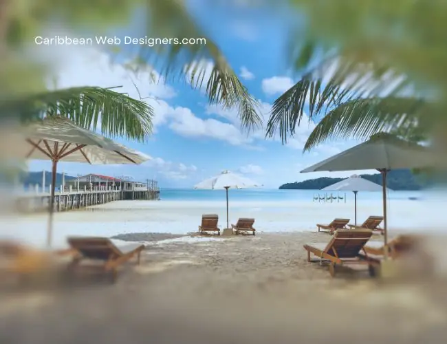 DIY vs Professional Website Design Services - Caribbeanwebdesigners - 03